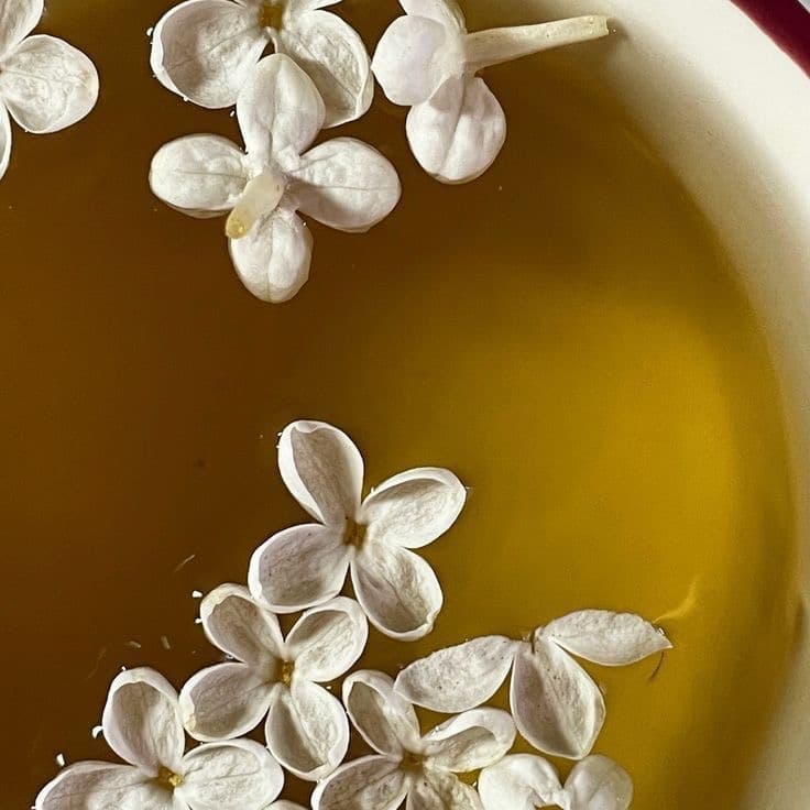 WHITE TEA