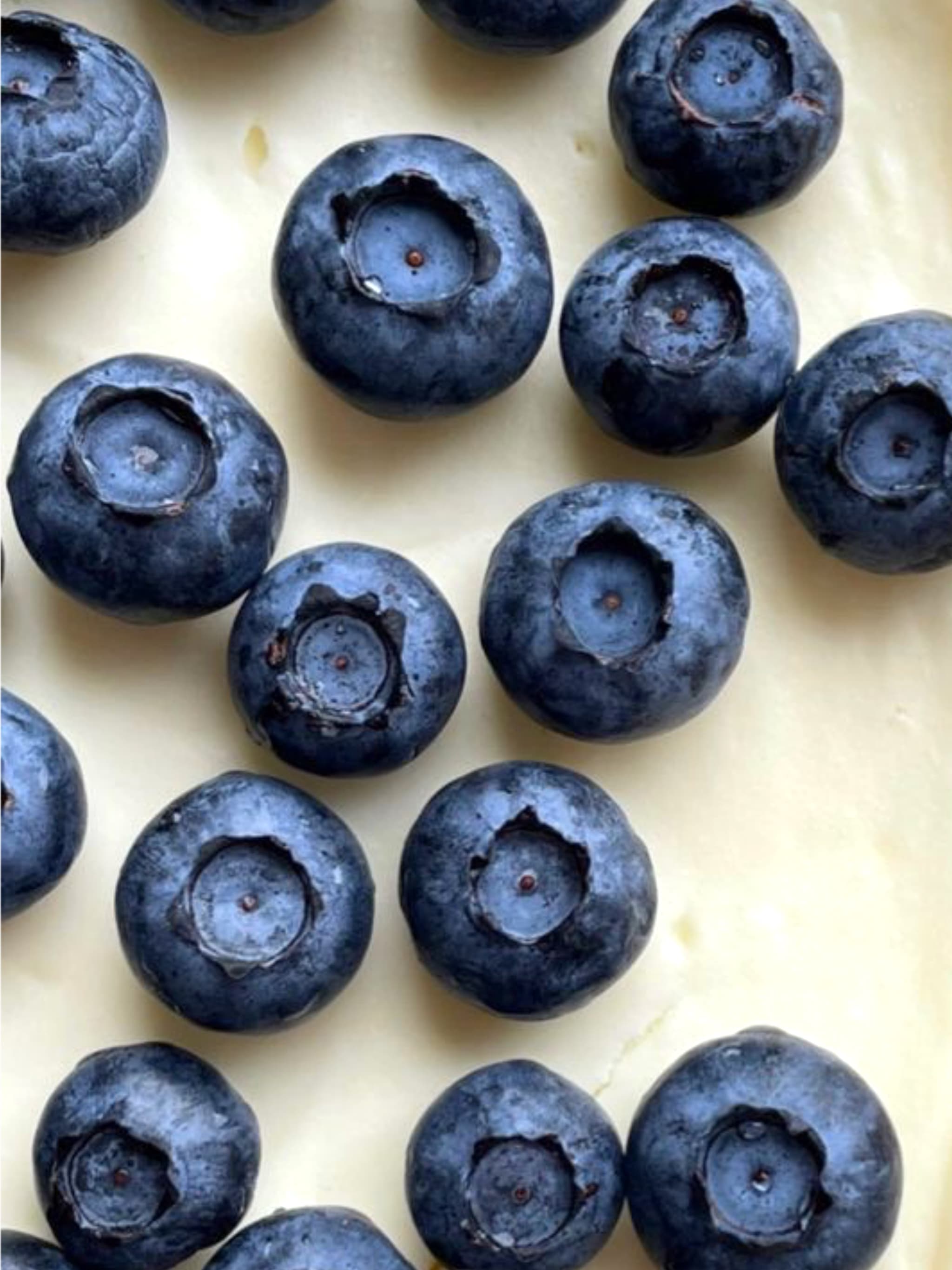 BERRY YOGURT