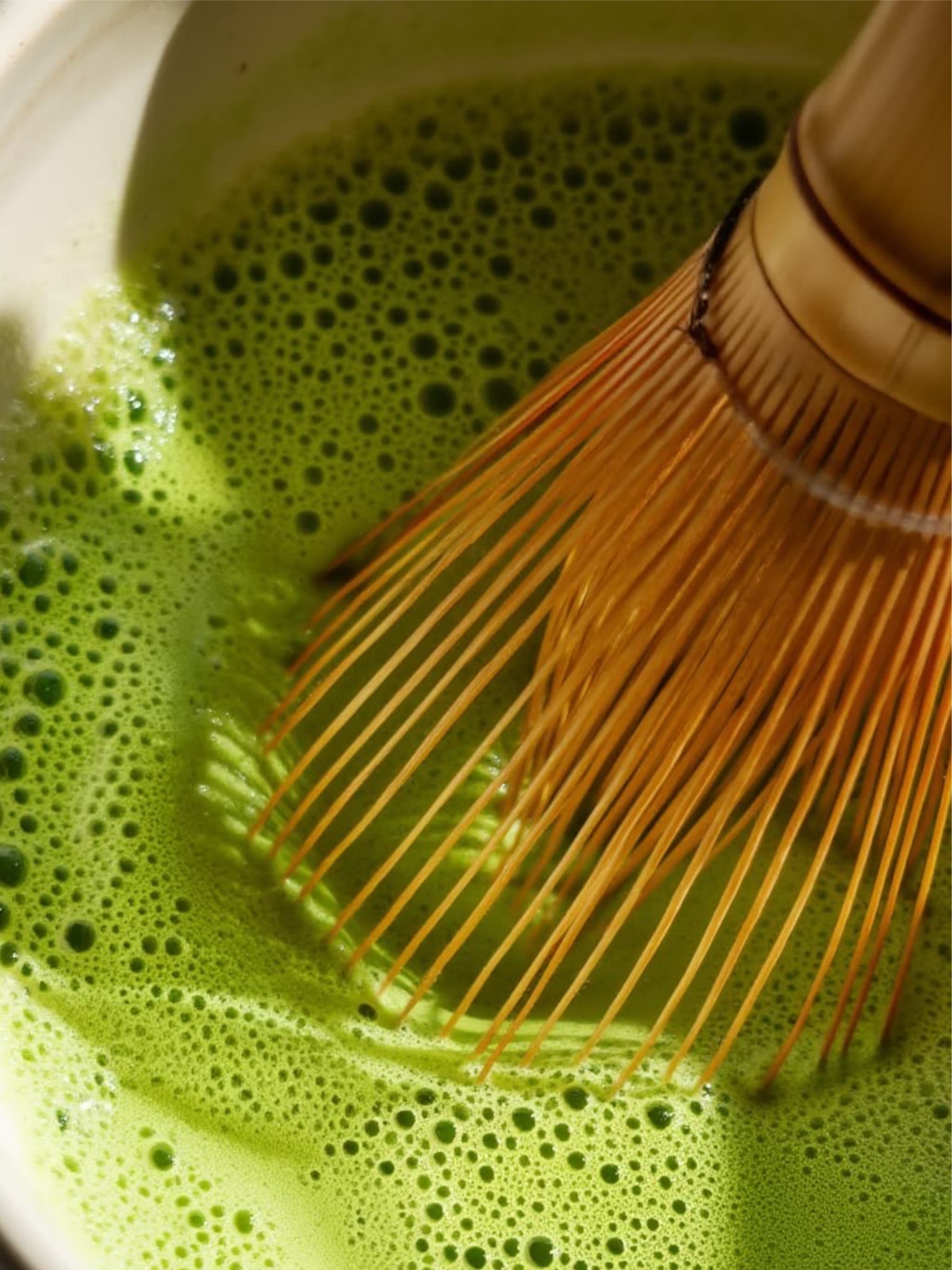 MATCHA LOVER