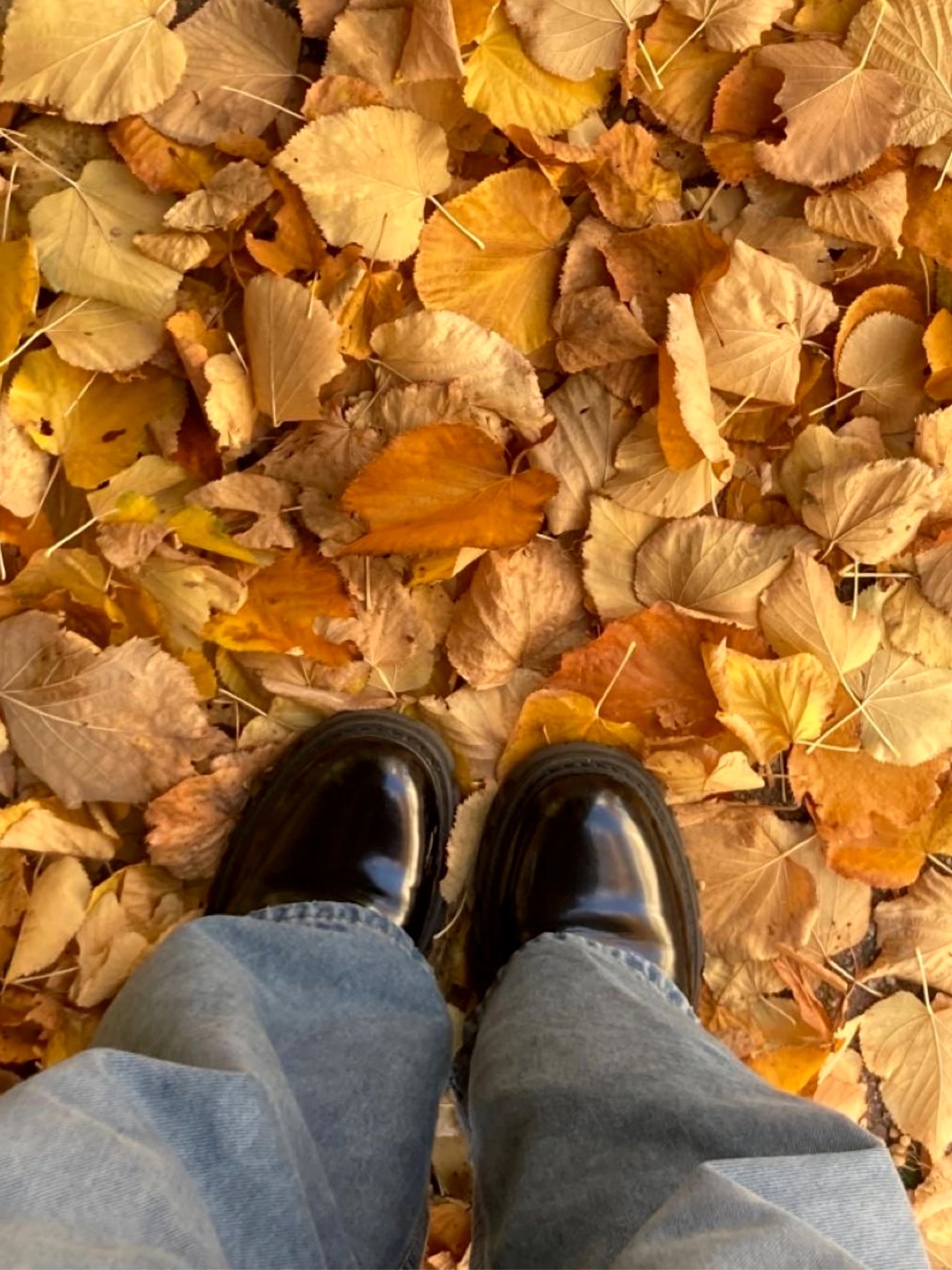 GOLDEN AUTUMN